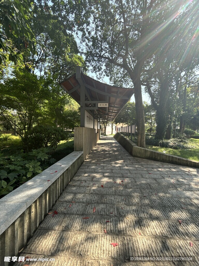 阳光洒落的静谧园林小道