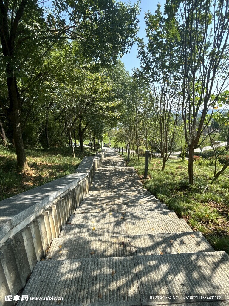林间碎石小径