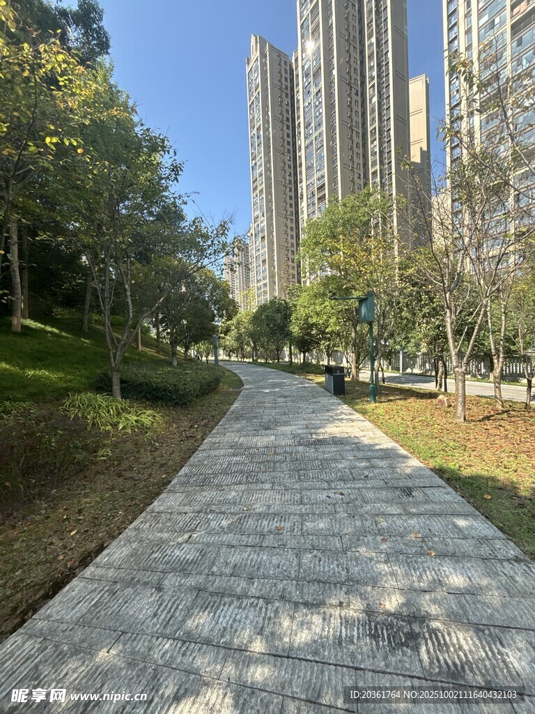 城市中静谧的林荫步道