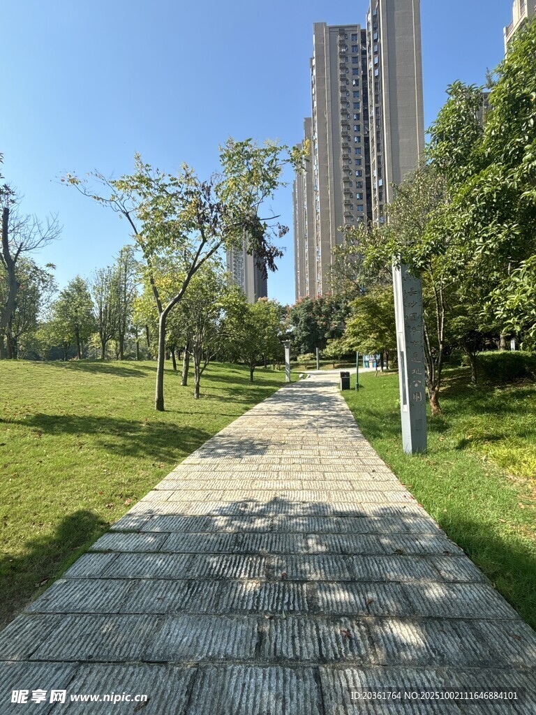 城市公园中的石板林荫小道