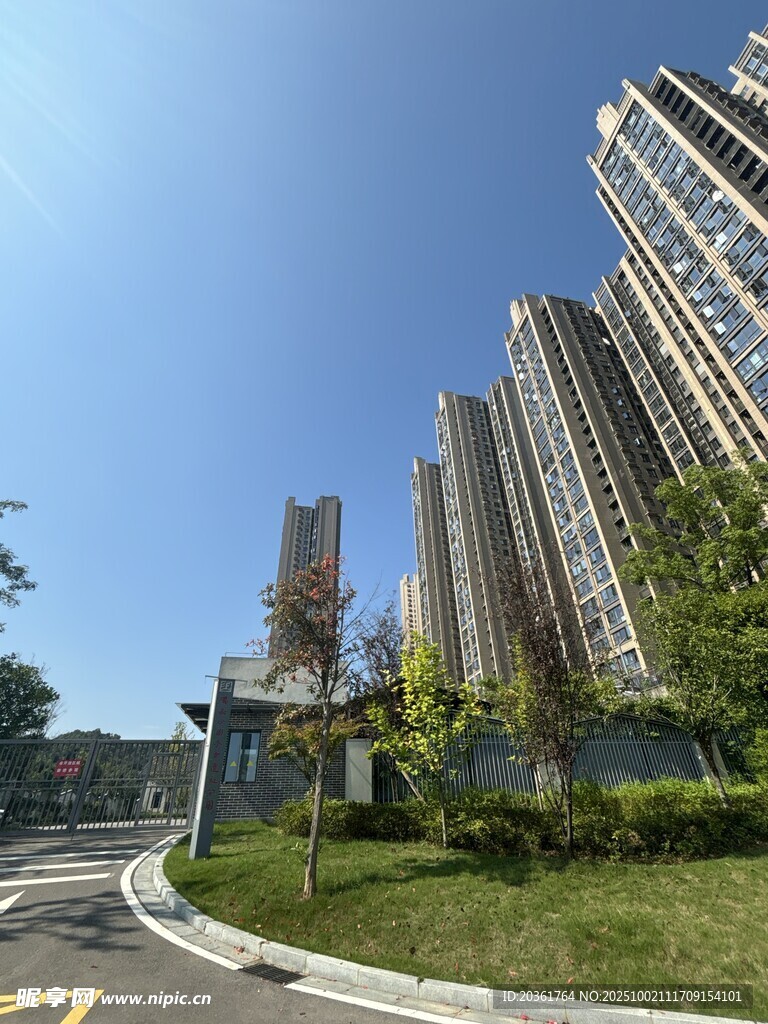 城市高楼旁的绿化景观
