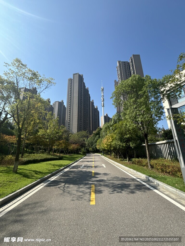 城市道路旁的高楼景观