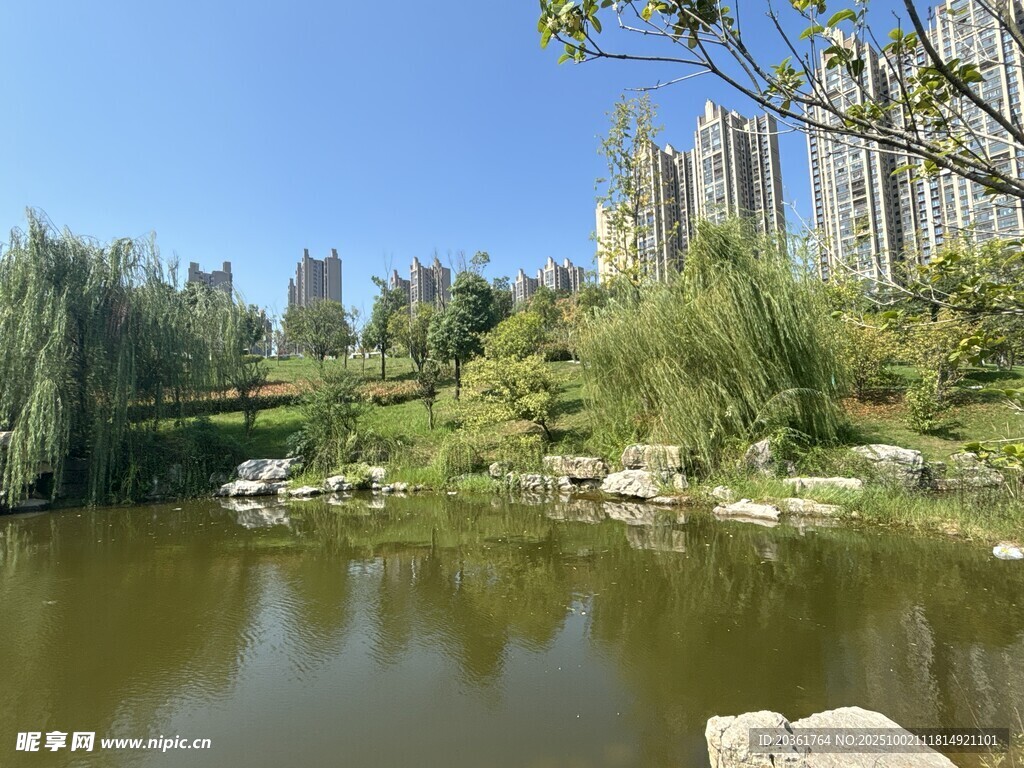 城市中的宁静湖畔风光