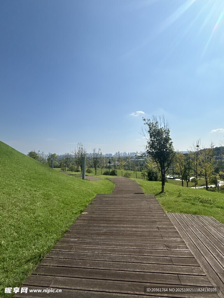 阳光照耀下的木栈道美景