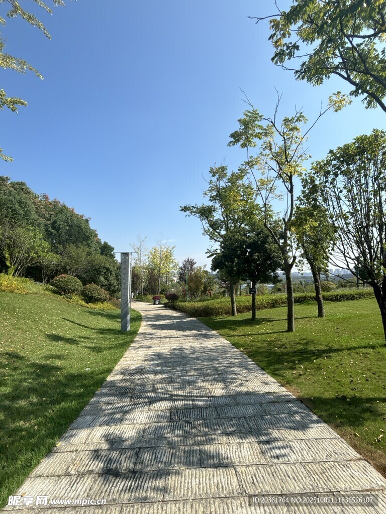 林荫步道
