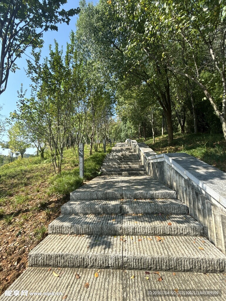林间石阶步道