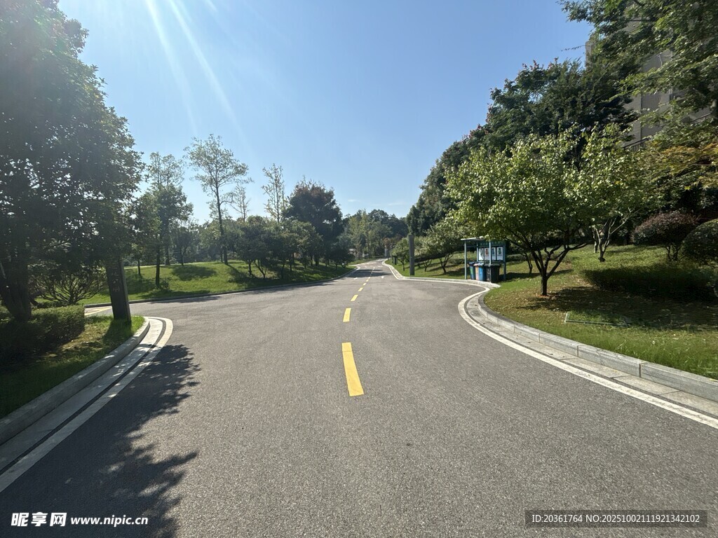 蜿蜒公路旁绿树成荫