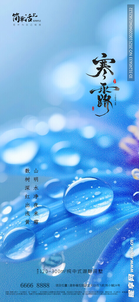 地产寒露海报