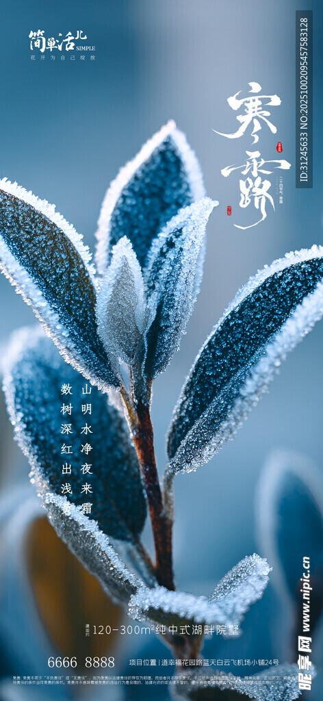 地产寒露海报