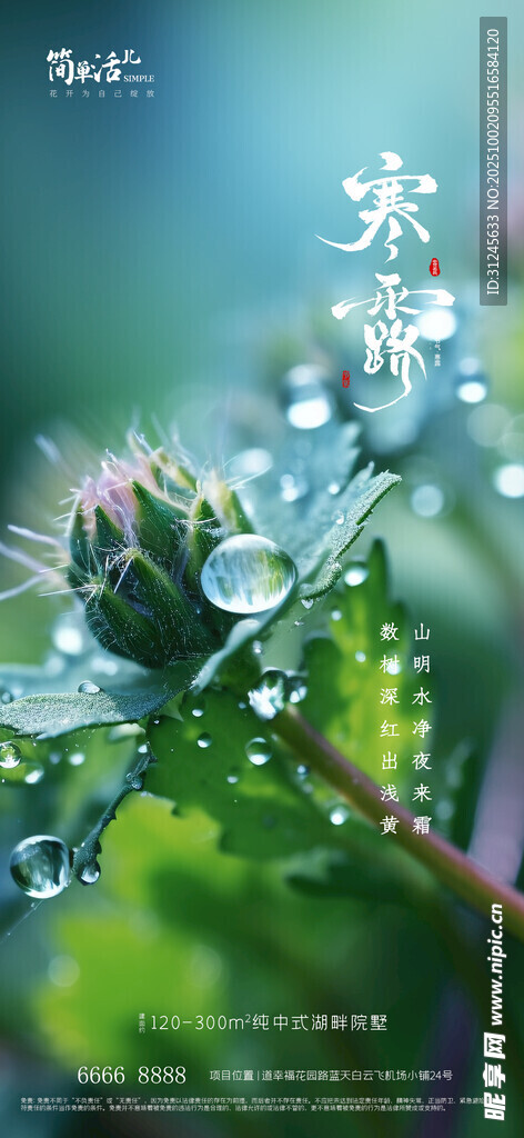 地产寒露海报