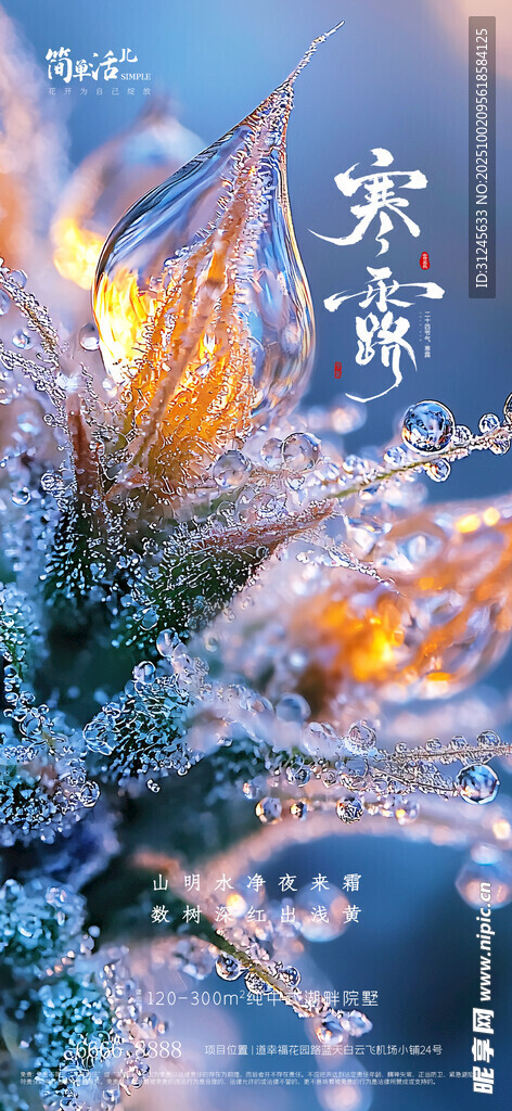 地产寒露海报