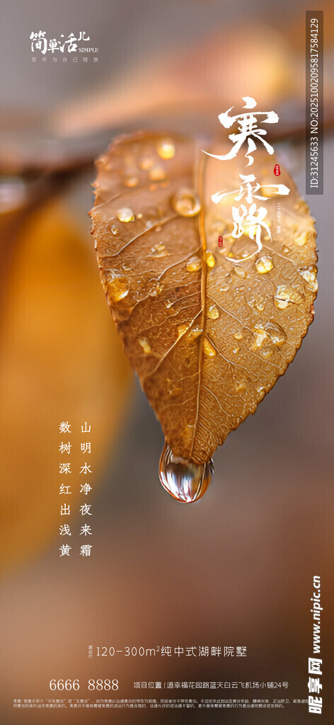地产寒露海报