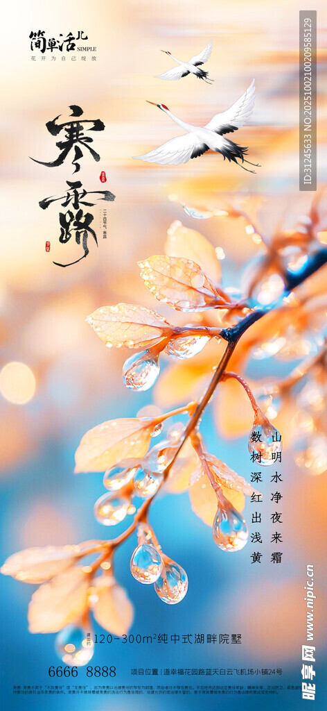 地产寒露海报