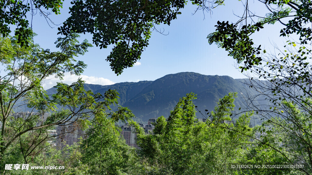 山林间的壮阔山景