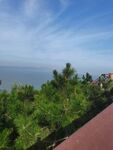 海边绿植旁的观景步道