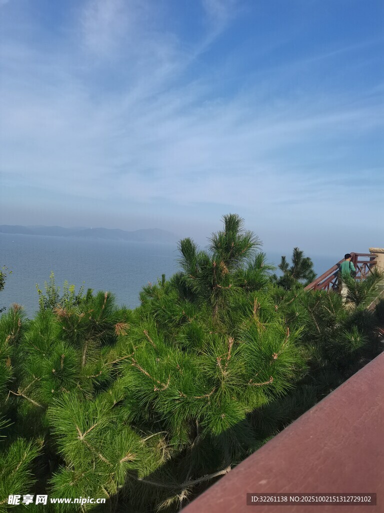 海边绿植旁的观景步道