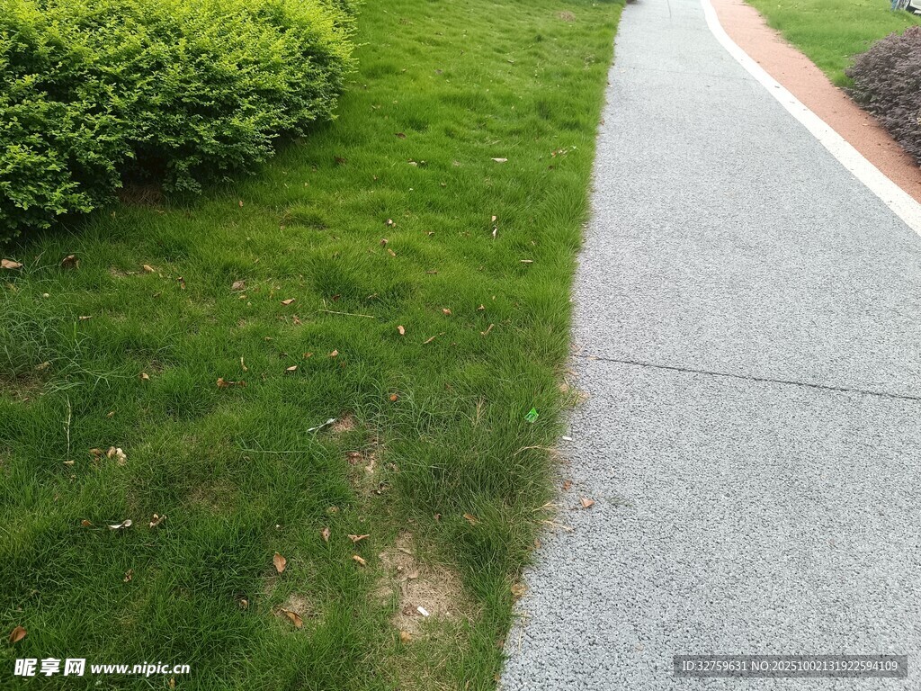 路边草地与灰色步道