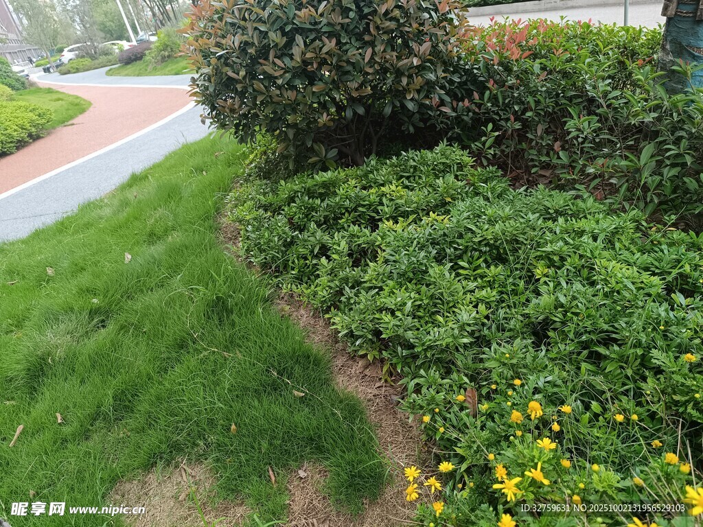 路边绿植花卉景观