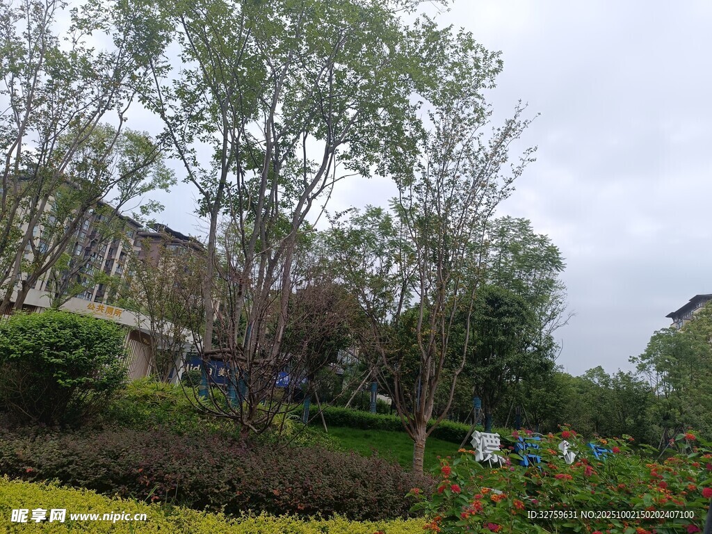 园林景观中的绿植与建筑
