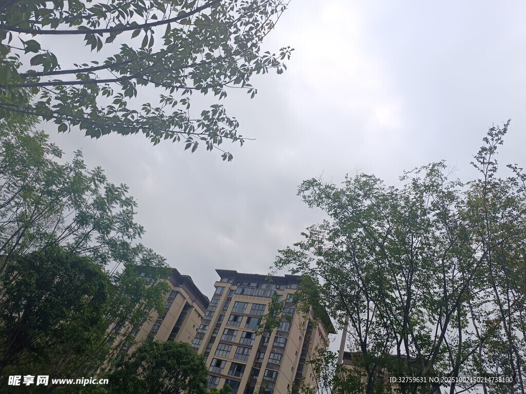 绿树环绕中的高楼建筑
