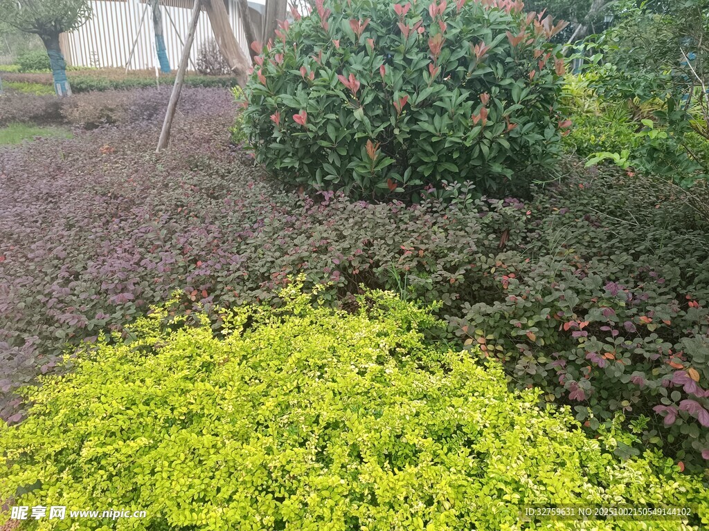 多彩绿植景观