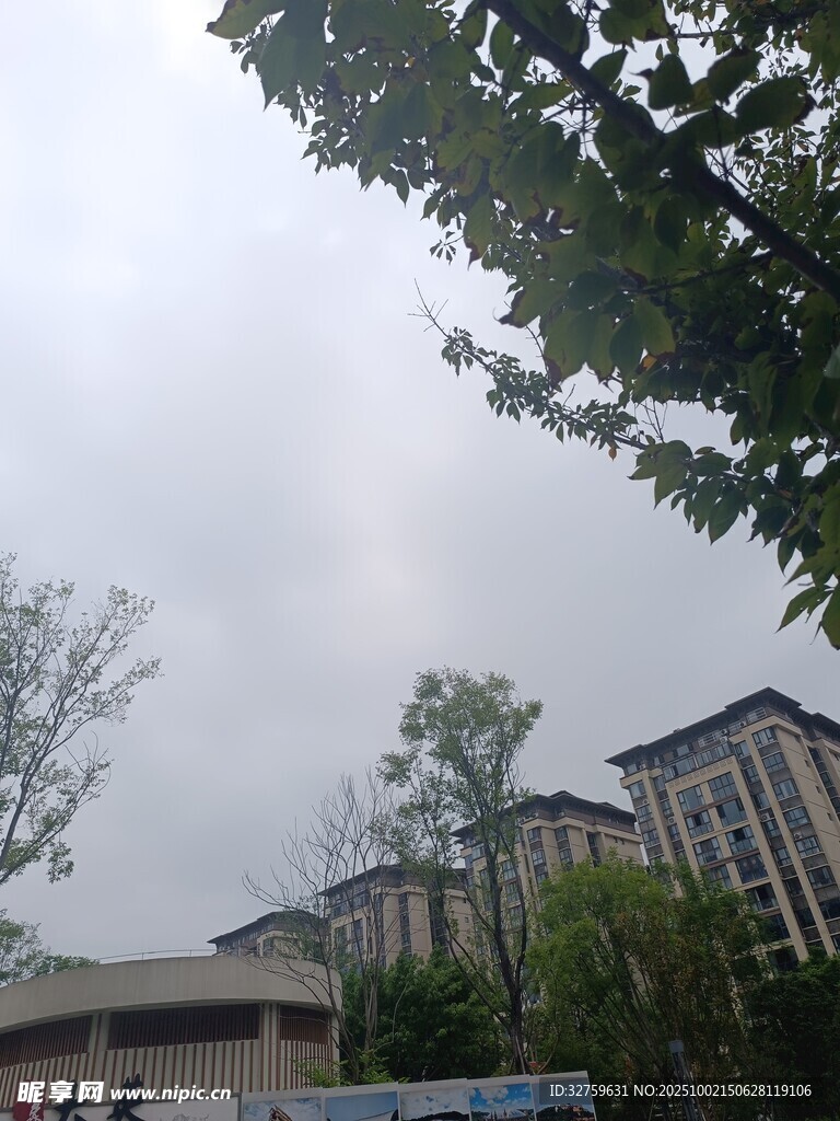 阴天中的建筑与绿树