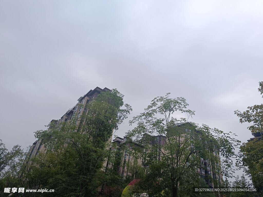 云雾缭绕的山林景观