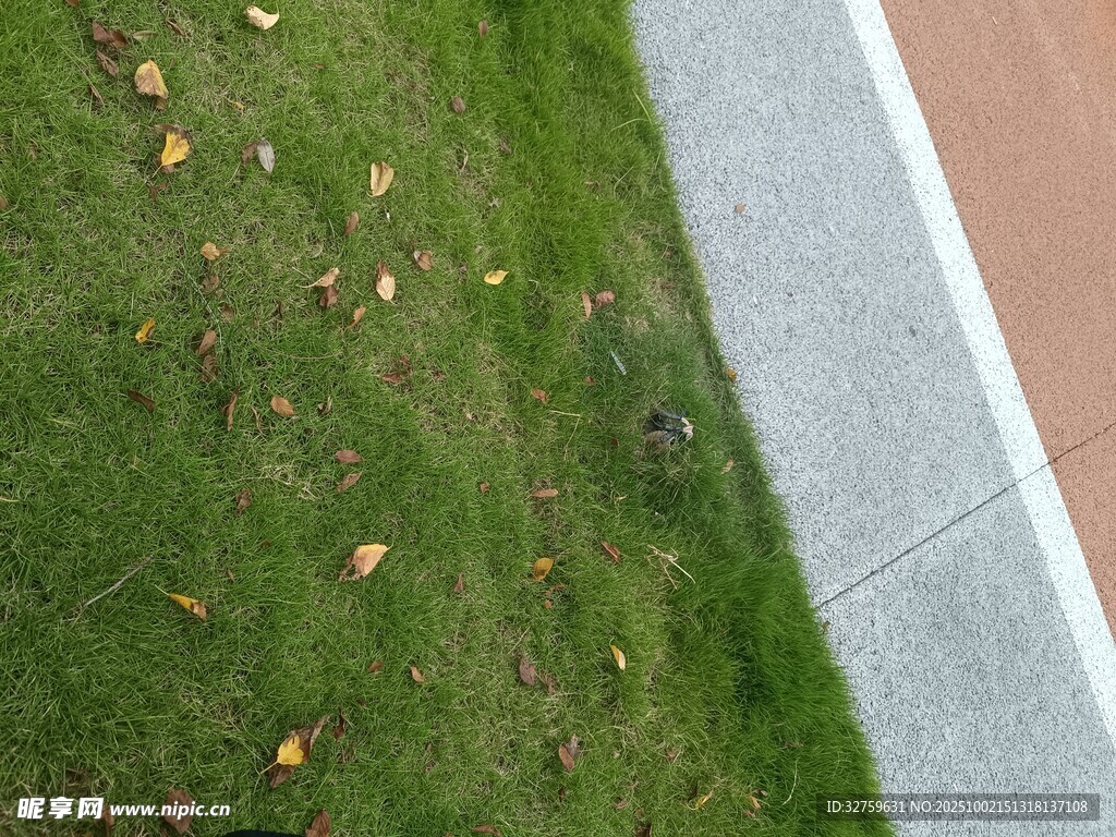 草地与步道边的秋日景象