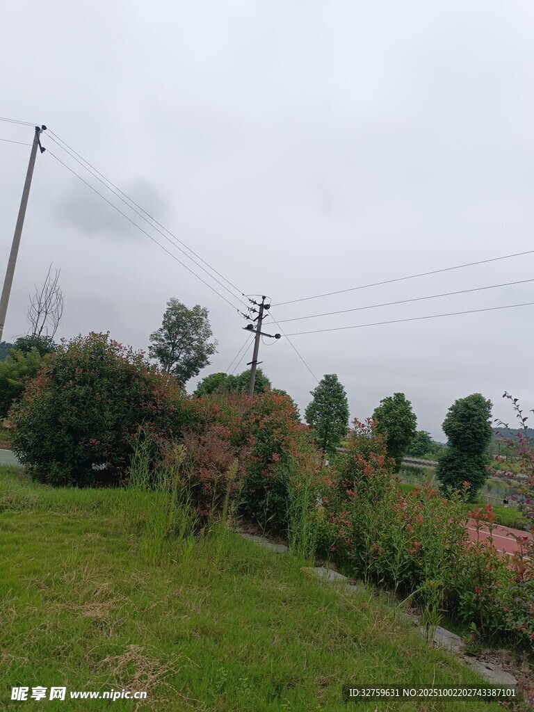 乡村田园景致一隅