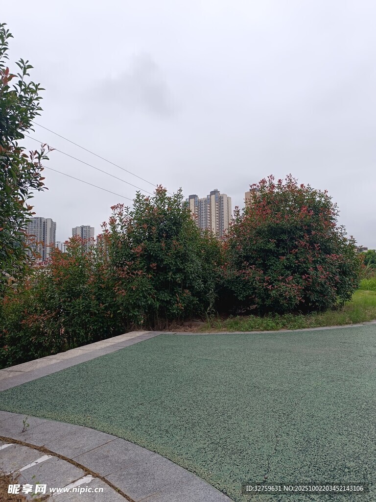 户外绿地与远处建筑景观