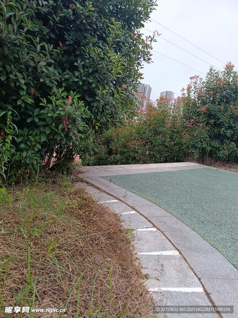 户外休闲步道旁的绿植景观