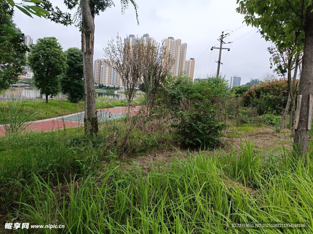 户外绿植环绕的自然场景