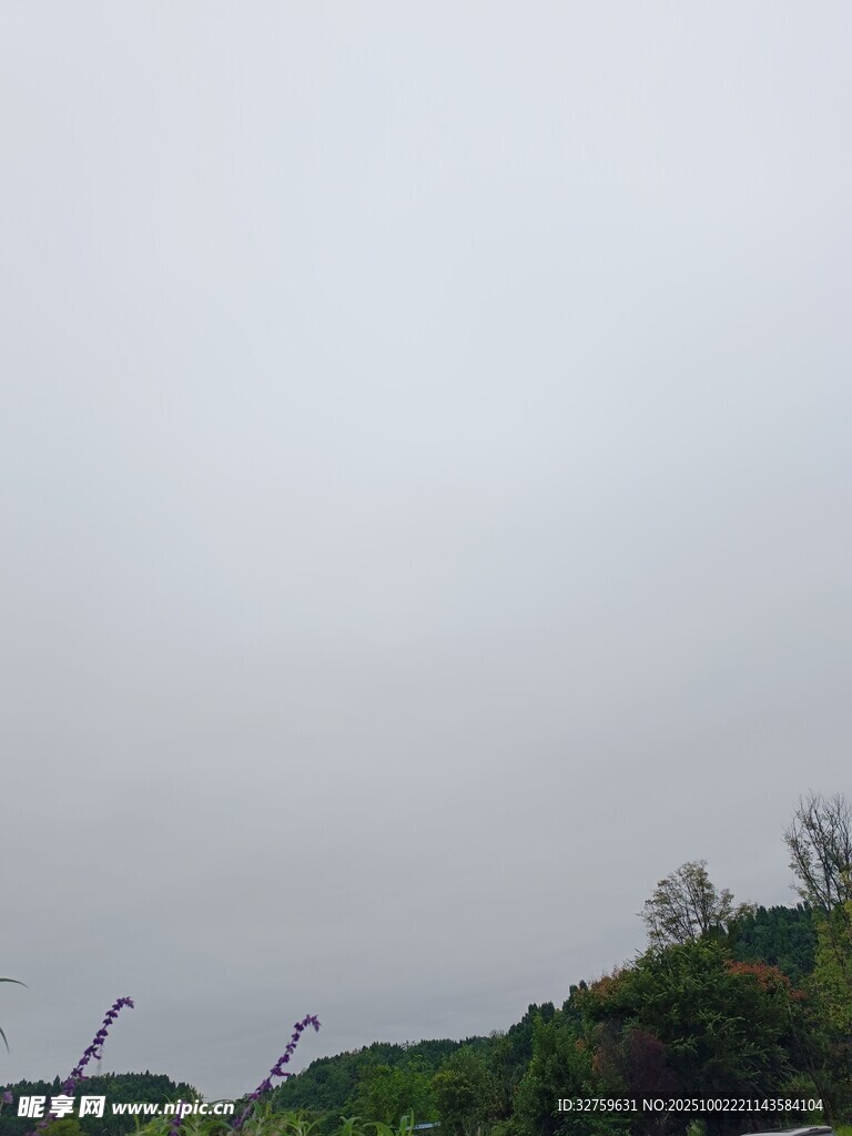 阴天山林景象
