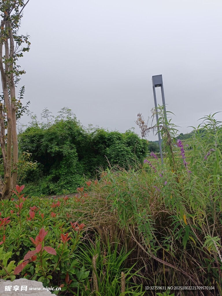 野外绿植与高耸设施景观