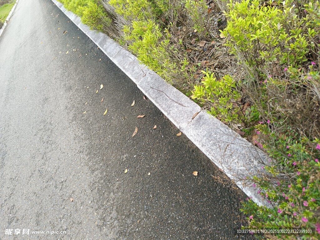 路边绿植旁的水泥道路
