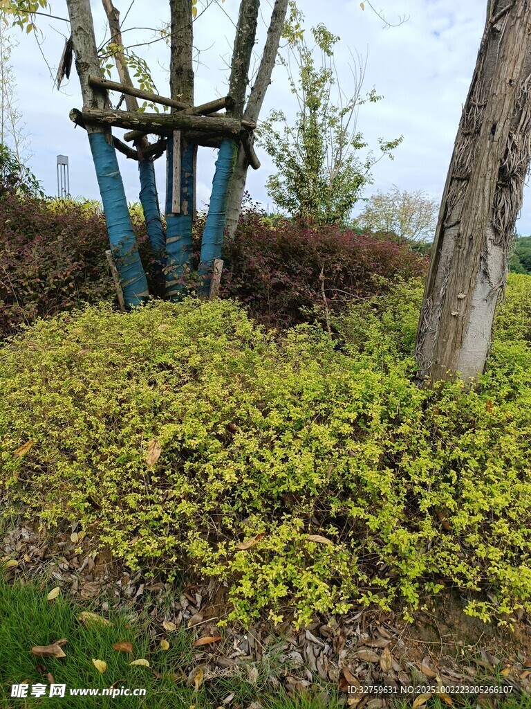 地面绿植与蓝色支架景观