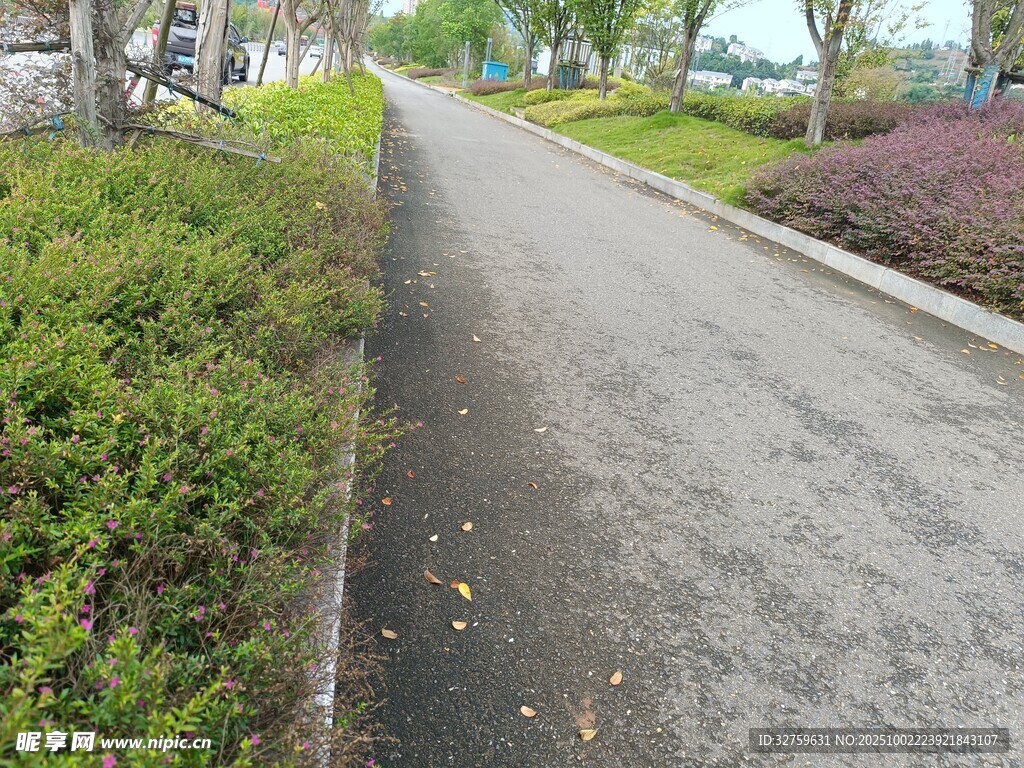 路边绿植环绕的柏油小路