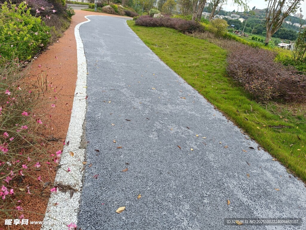 蜿蜒的林间柏油小路