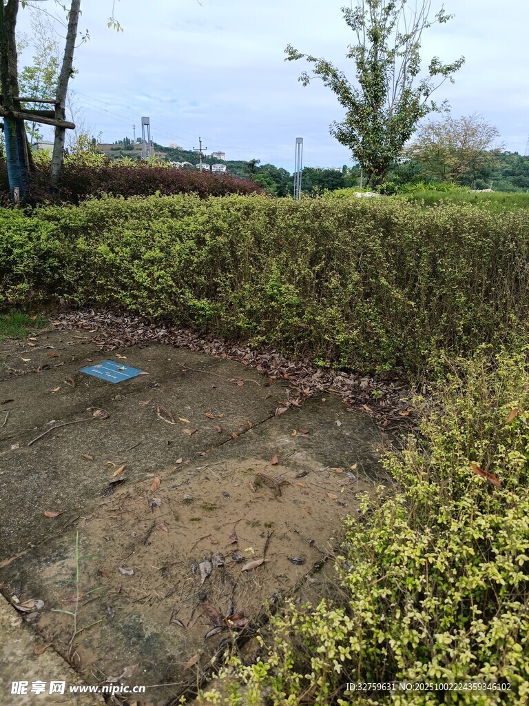 户外绿植环绕的地面场景
