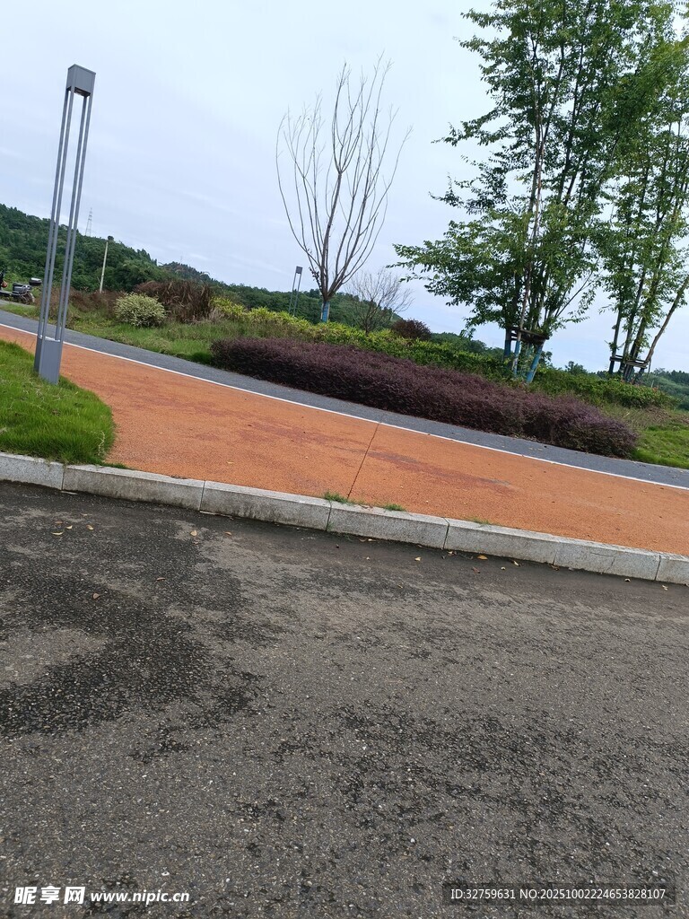 户外彩色步道与绿植景观