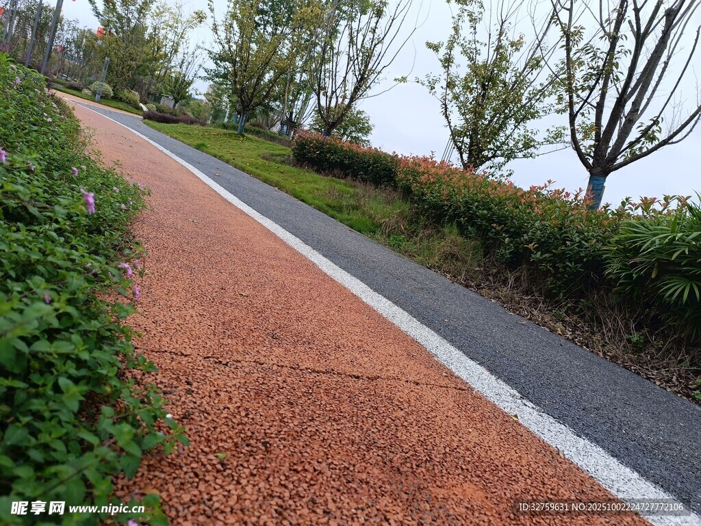 彩色步道旁的绿植景观