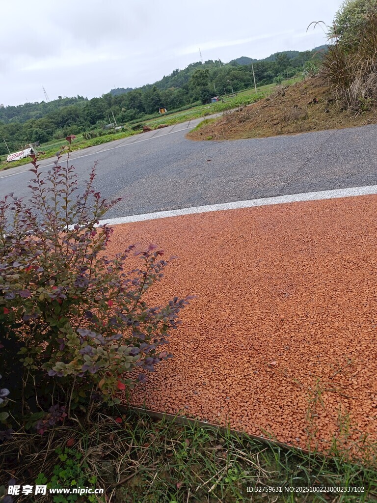 路边橙色地面与灌木