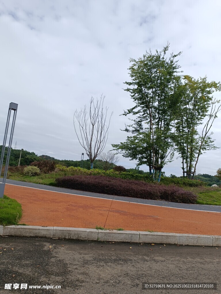 户外彩色步道旁绿植景观