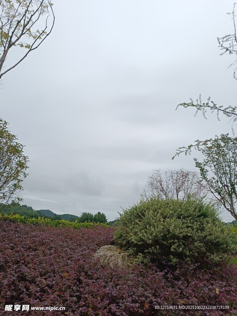 户外绿植景观 