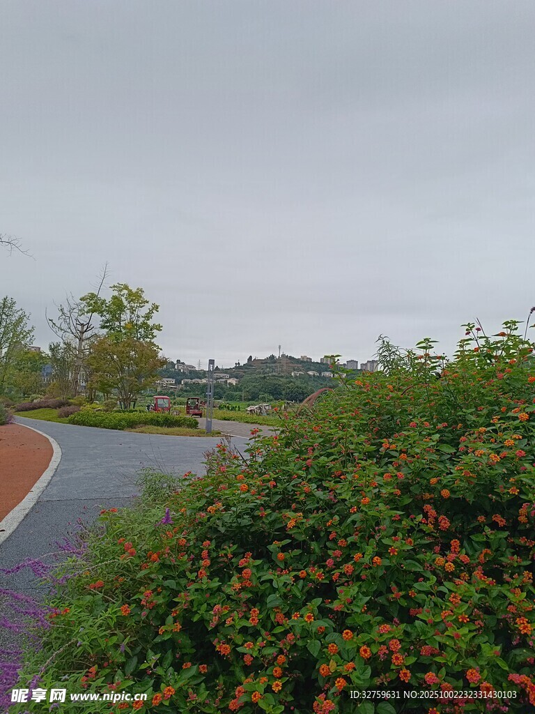 路边绿植与蜿蜒道路景色