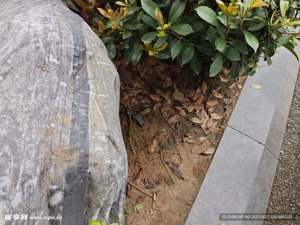路边绿植旁的包裹物