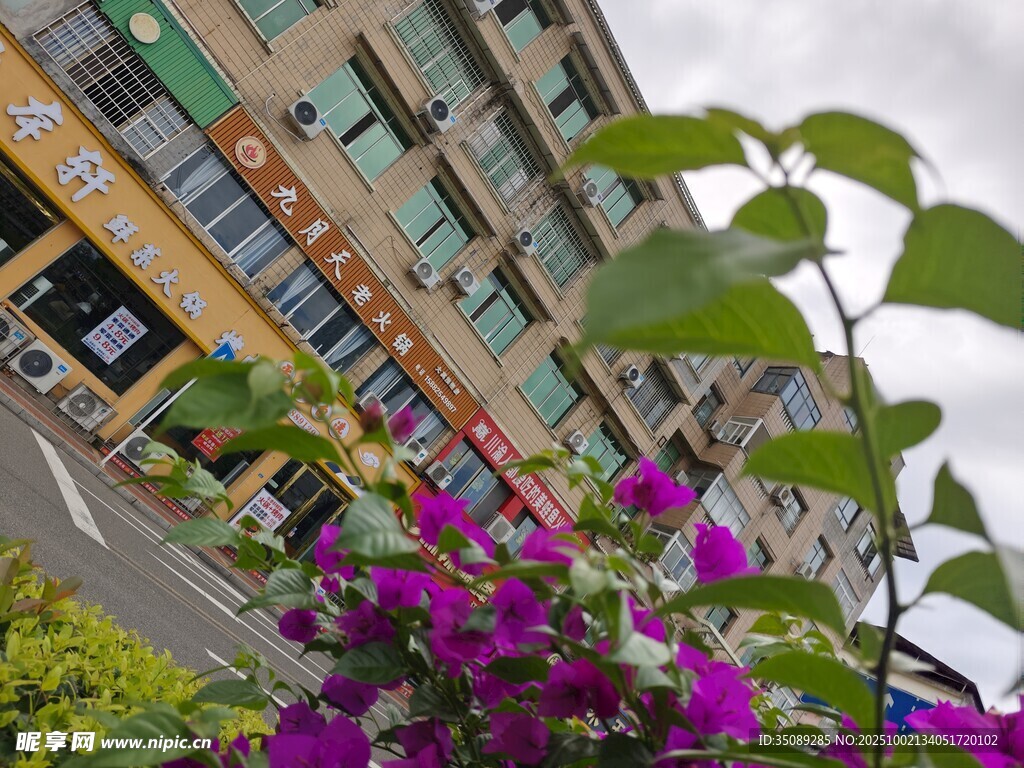 城市街边繁花与建筑景致