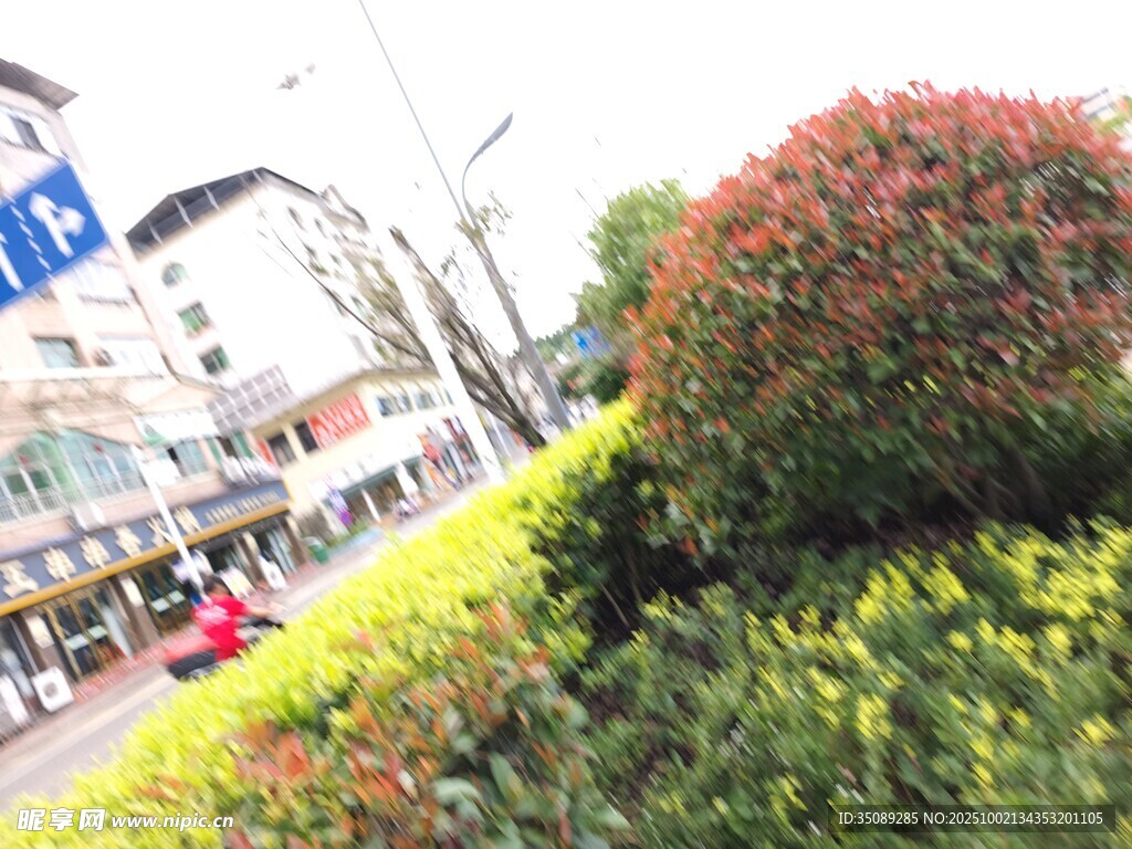 城市街边多彩绿植景观