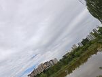 河畔风景远处林立建筑