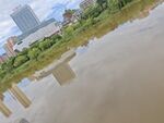 城市河畔风景